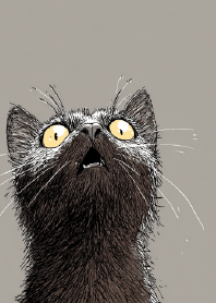 Dramatic Black Cat on Taupe