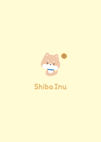Shiba Inu3 Sunflower - Yellow