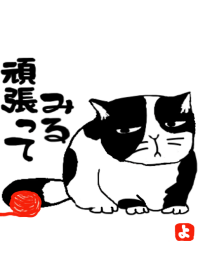 頑張る猫
