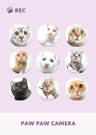 Paw Paw Camera -  Purple 07