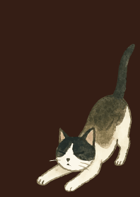 tuxedo cat04 on brown