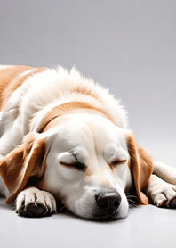 Bright Moon and Dawn 90C30C