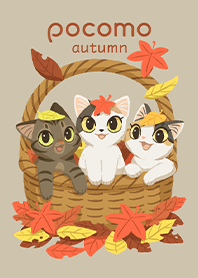 pocomo autumn 2021