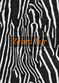 Zebra Fur 53