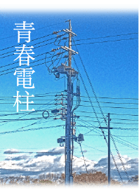 Youth Telepole
