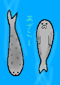 あざらし~息継ぎ
