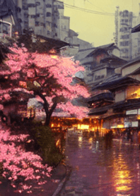 日本夜樱花＃DR12。