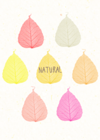 Leaves warm color6 from Japan