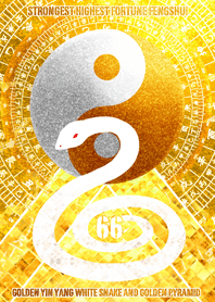 White snake and golden YinYang Lucky 66