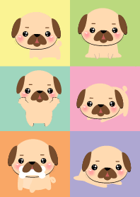 Love Pug Dog Theme