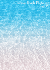 TropicalBeach Photo 257 Not AI