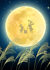 願が叶う満月の夜★十五夜2★#2023