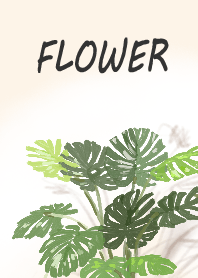 The flower05