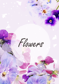 Viola flowers sway lightly7.