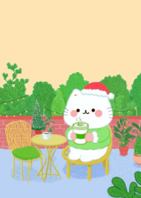 Cute cat : coquette princess cat b.4Hg