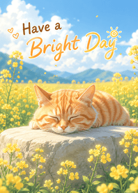 Have a Bright Day.
