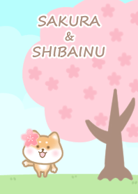 Cherry Blossom & Shiba Inu w