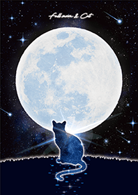 Full moon and Cat 2