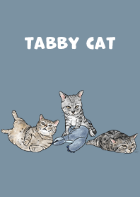 tabbycat5 / pale denim
