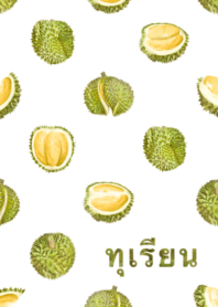 榴蓮　19