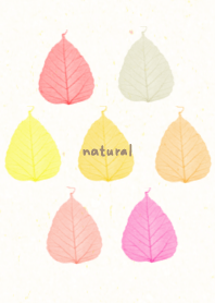 Leaves warm color8 from Japan