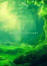 Beautiful Forest - NATURE 12