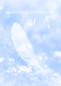 Swan Feather Photo #8-2Not AI