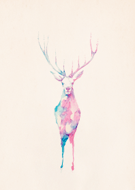 deer and deer