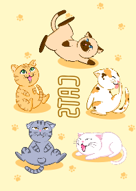 Cat meaow