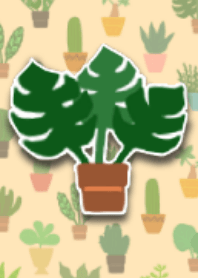 Green plants,cactus,succulent,ver fix