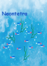 neontetora