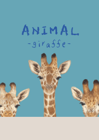 ANIMAL - Giraffe - TURQUOISE BLUE
