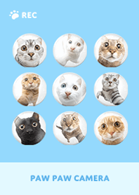 ネコカメラ - ブルー 08