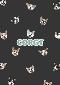 corgicorgi6 / carbon