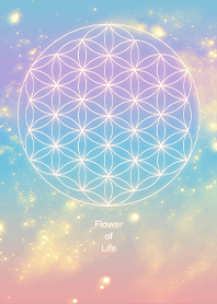 璀璨銀河與生命之花 4