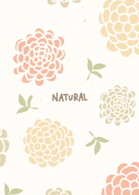 Dull color ball flower23 from Japan