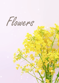 Light and happy spring flowers8.