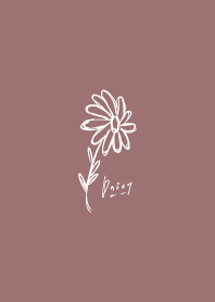 雛菊_紅色