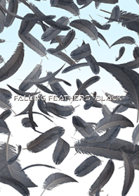 FALLING FEATHERS -BLACK-
