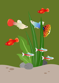 가상 어항!(말차 그린)