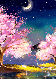Beautiful night cherry blossoms#1222