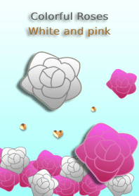 カラフルなバラ(白とピンク)