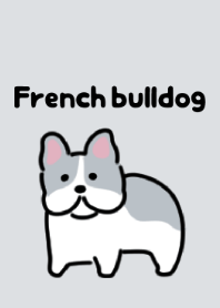 Cute little french bulldog theme