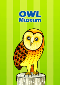 OWL Museum 1 - Barn Owl
