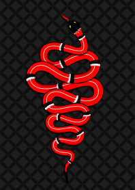Coral Snake