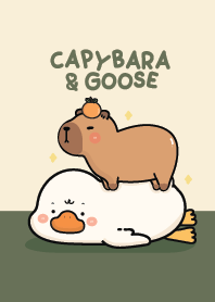 คาปิบาร่าเอง & ห่านน้อย : มิดไนท์กรีน
