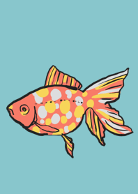 Cute gold fish
