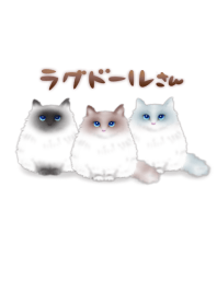 ラグドールさん