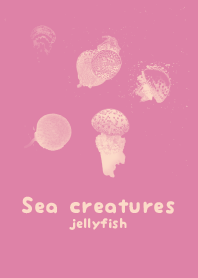 Sea crt Rota Pink