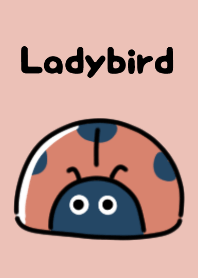 Cute ladybird theme